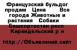 Французский бульдог продам › Цена ­ 1 - Все города Животные и растения » Собаки   . Башкортостан респ.,Караидельский р-н